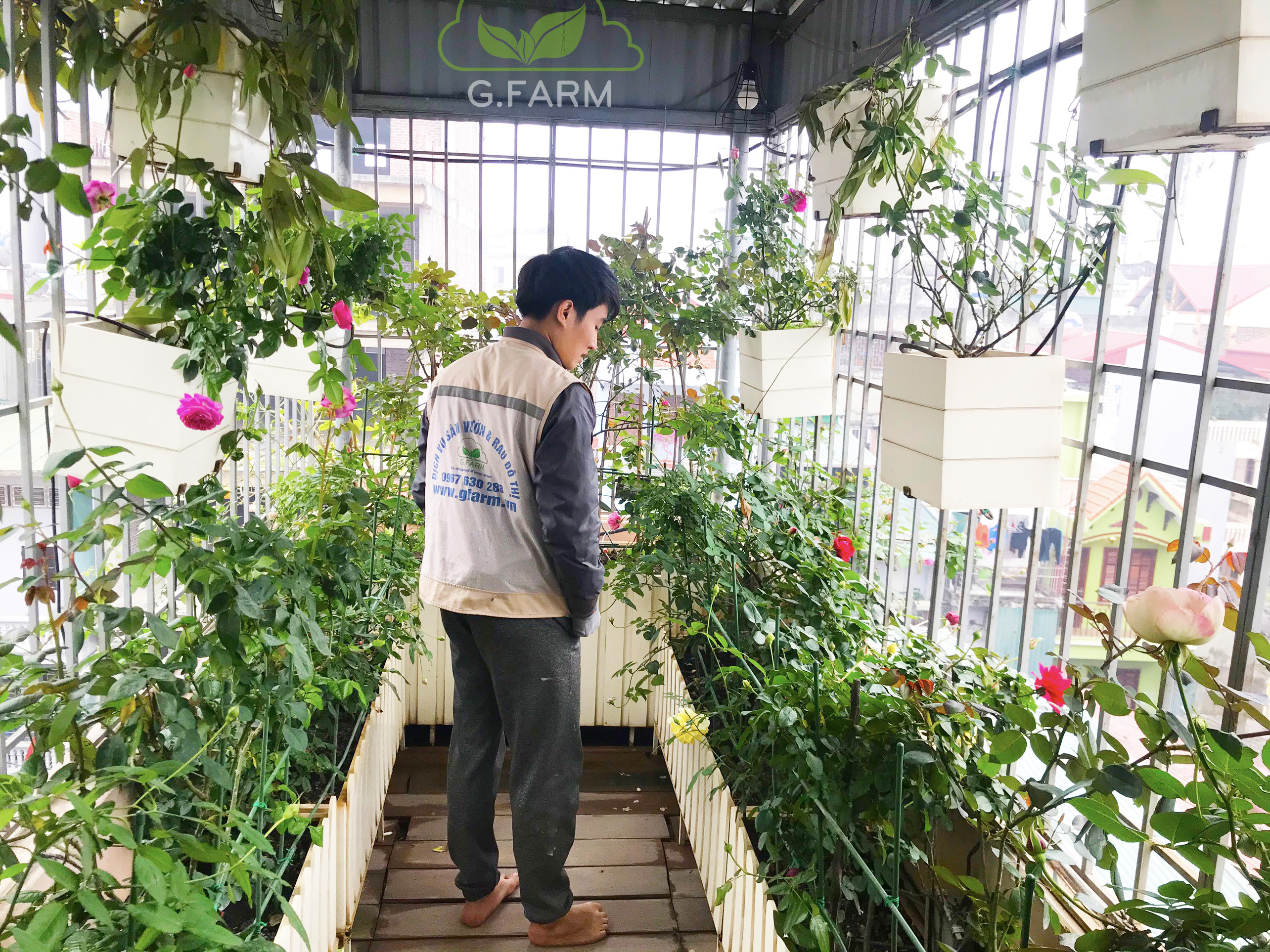 Thiết kế vườn hoa sân thượng- Chị Phương